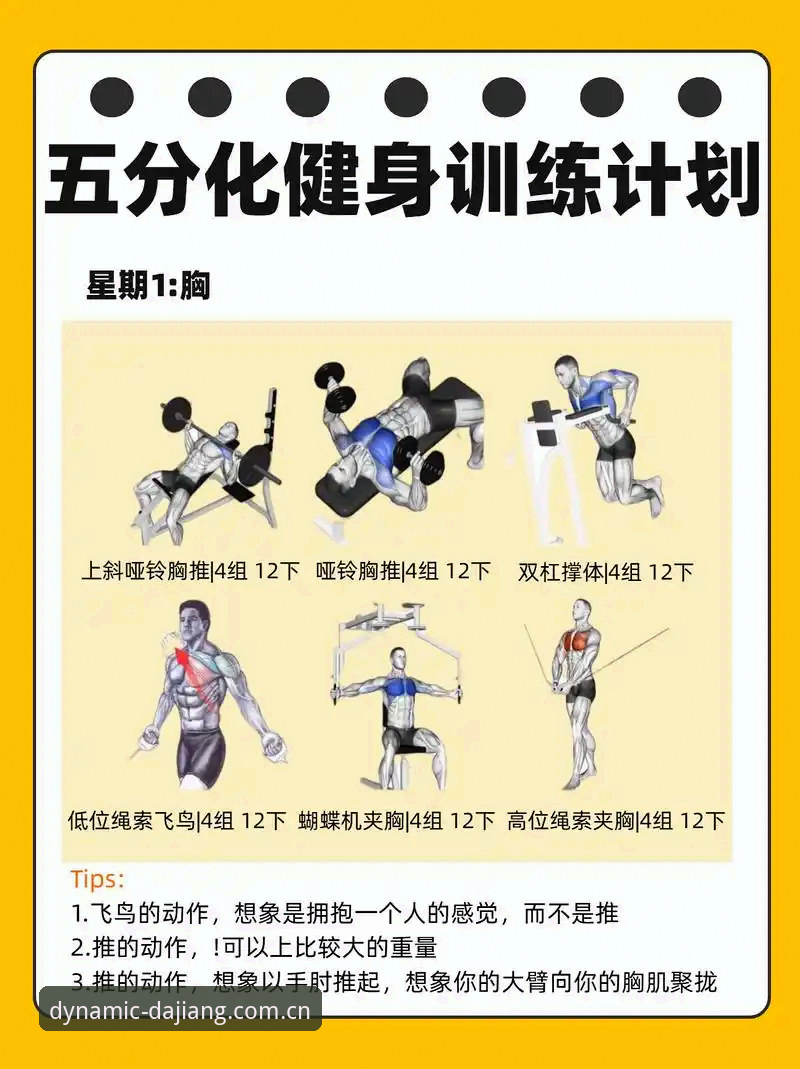 家庭健身计划 vs 健身房：为什么大江体育手机版才是现代人的最优解？